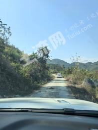 河池金城江区 47亩 灌木林地 经营权出租