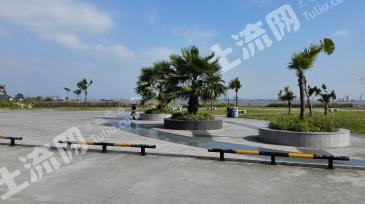 广州番禺区 198.03亩 水浇地 经营权出租