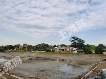 广州番禺区 64.89亩 水田 经营权出租