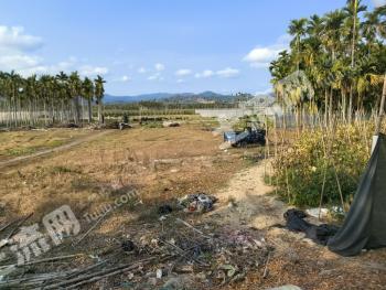 三亚崖州区 1.82亩 水浇地 经营权出租