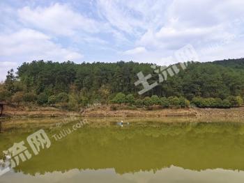 重庆渝北区 129亩 设施农用地 经营权转让