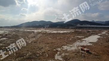 大连普兰店区 1900亩 旱地 经营权出租