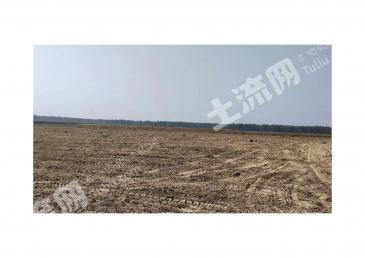 沈阳新民市 669.58亩 水田 经营权出租