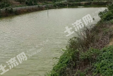 东营垦利区 100亩 坑塘水面 经营权出租