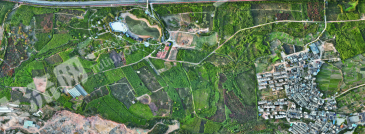 玉溪江川区 1400亩 其它林地 经营权出租