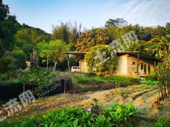 广州白云区 5.39亩 其它林地 经营权出租