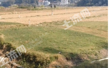 河源紫金县 288亩 水浇地 经营权出租