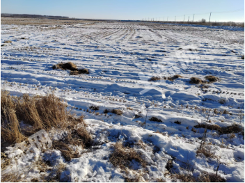 白城镇赉县 14079.42亩 水田 经营权出租