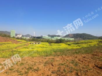 黄石西塞山区 70亩 旱地 经营权出租