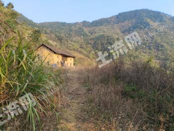 永州蓝山县 1068.84亩 水浇地 经营权转包