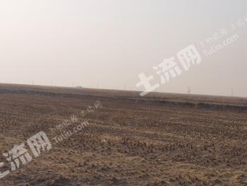 松原乾安县 5500亩 水田 经营权转让