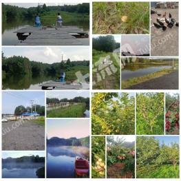 吉林磐石市 134.97亩 农场 使用权转让