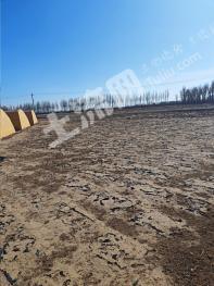 张掖甘州区 854.43亩 旱地 经营权出租