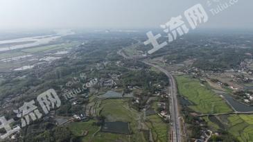 长沙望城区 1493.66亩 其它林地 经营权出租