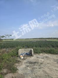海南文昌市 240亩 旱地 经营权出租