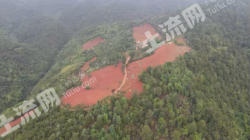 玉溪峨山彝族自治县 435亩 其它林地 经营权出租