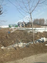 伊春嘉荫县 20亩 旱地 经营权转让