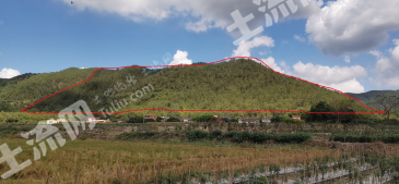 江門臺(tái)山市 192.39畝 其它林地 經(jīng)營權(quán)出租
