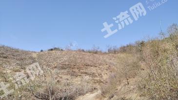 大连普兰店区 67.57亩 果园 经营权出租