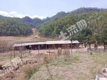 丽江玉龙纳西族自治县 90亩 其它林地 经营权转让