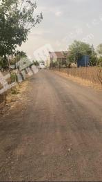 青岛即墨区 58亩 果园 经营权转让