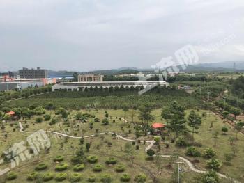 韶关曲江区 88.87亩 工业用地 使用权转让