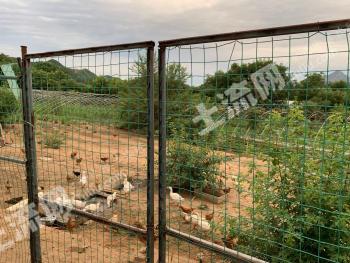 北京怀柔区 42亩 果园 经营权出租