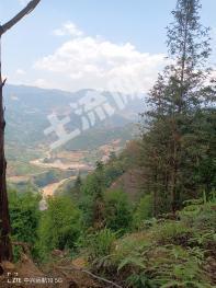 红河绿春县 1800亩 水田 经营权出租