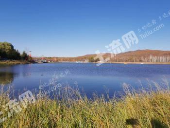 哈尔滨阿城区 2.36亩 乔木林地 经营权转让