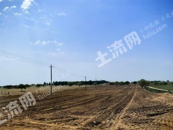 通辽扎鲁特旗 300亩 灌木林地 经营权出租
