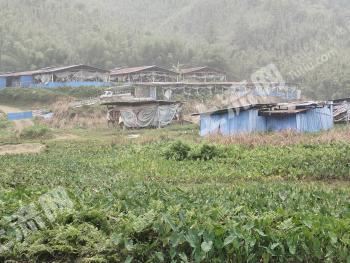 肇庆怀集县 3.86亩 农场 使用权出租