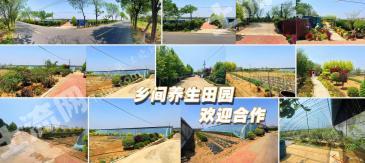 大连金州区 13.35亩 水浇地 经营权出租