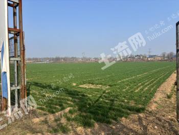 咸阳泾阳县 135亩 水浇地 经营权转包
