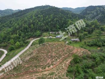 重庆渝北区 100亩 其它林地 经营权转让