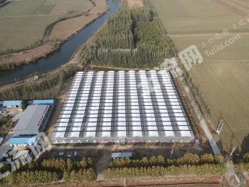 济宁曲阜市 20亩 果园 经营权转包