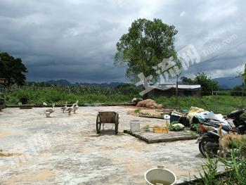 清远英德市 79.65亩 水浇地 经营权出租