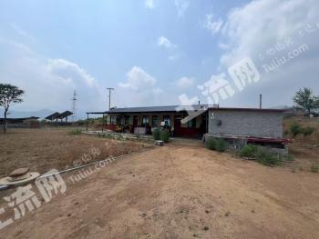 石家庄赞皇县 400亩 其它林地 经营权转让