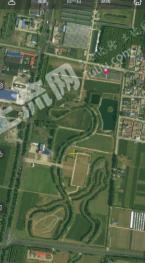 济南平阴县 392.04亩 果园 经营权出租