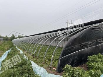 北京顺义区 179.84亩 水浇地 经营权出租