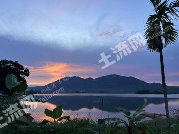 海南陵水黎族自治县 16.42亩 其它林地 经营权转包