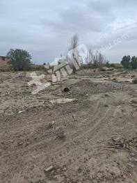张掖甘州区 65.16亩 其它园地 经营权出租