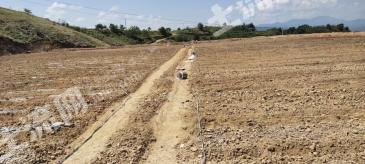 攀枝花盐边县 50亩 水浇地 经营权出租