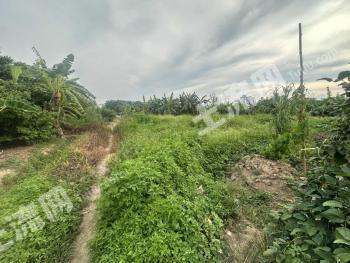 潮州湘桥区 0.75亩 果园 经营权转让