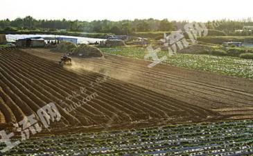 西双版纳勐腊县 25.37亩 旱地 经营权出租