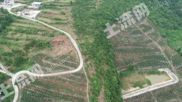 广元苍溪县 97.99亩 旱地 经营权转让