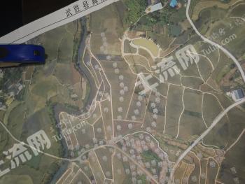 广安武胜县 28.67亩 水田 经营权出租