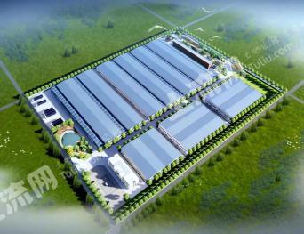 周口项城市 91.68亩 工业用地 使用权合作