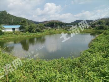 肇庆高要区 6亩 坑塘水面 经营权出租
