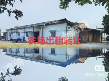 清远清城区 13亩 水浇地 经营权转让