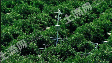 宜宾屏山县 50亩 果园 经营权转让